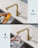 1 x RAW Customer Returns FORIOUS kitchen faucet, high pressure kitchen faucet with shower, pull-out faucet, mixer tap, kitchen sink faucet, 360 swivel, two spray functions, polished gold - RRP €70.52