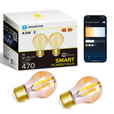 1 x RAW Customer Returns Aigostar Alexa light bulb E27, Smart LED vintage lamp, Smart light bulb G45 amber globe, 4.5W 470LM, warm white dimmable 2700K -6500K, compatible with Alexa and Google Home, 2 pieces. - RRP €20.99