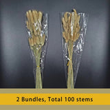 1 x RAW Customer Returns Natural Dried Lagurus ovatus 100pcs Boho Home Decor Bouquet Dried Bunny Tails Pampas for Dried Flower Arrangements Wedding Bathroom Home Decoration - RRP €18.29