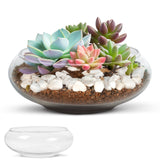 1 x RAW Customer Returns Winter Shore Terrarium Vase 2 Pack - Medium Large Glass Bowl for Succulents, Houseplants Pebbles - Clear Glass Decorative Vase for Home Decor, Wedding - RRP €18.99