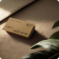 2 x RAW Customer Returns Netuno 50x Kraft paper 250g DIN A4 210 x 297 mm Aster Kraft kraft cardboard for crafting thick kraft paper a4 recycled paper craft cardboard wedding vintage brown cardboard natural craft natural brown paper - RRP €21.04