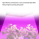 1 x RAW Customer Returns Hztyyier Led Grow Light Indoor Nursery Plant Plant Growth Light Grow Lighting Growing Lamp Interior Plant Grow Light Nursery Baby EU Plug 81 Beads 50W  - RRP €33.1