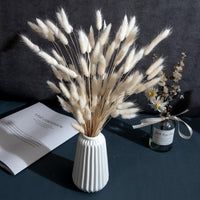 1 x RAW Customer Returns 120 x Dried Lagurus Pampas Grass Pampas Decoration Dried Flowers Dried Flower Bouquet Natural Flower Decoration Grasses for Wedding Interior Decoration Bedroom Living Room White  - RRP €12.1