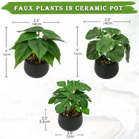 1 x RAW Customer Returns Briful set of 3 artificial plants like real artificial houseplants decorative plants for living room bathroom decoration, height approx. 15 cm, in a black ceramic pot - RRP €24.19