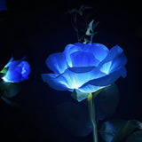 1 x RAW Customer Returns HELESIN Solar Flowers for Outdoors Weatherproof, 2 Pieces Solar Roses for Outdoor Garden Decoration, Grave Decoration Weatherproof Solar Grave Light Solar Rose, Solar Lamps for Outdoor Garden, Bushes, Lawns, - RRP €22.99