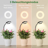 1 x RAW Customer Returns Wolezek Plant Lamp LED Full Spectrum, Pot Clip Grow Light, Two Installation Options Plant Light, 3 Color Temperature LED Grow Lamp with 360 Gooseneck, 6 12 16H Timer, 5 Brightness, 1-Pack - RRP €20.99