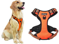 8 x Brand New Pattepoint Dog Harness for Walking Training, Adjustable Vest with Handle, Escape Proof Dog Harness for Medium Dogs Orange - S - RRP €169.36