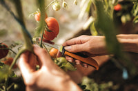 1 x RAW Customer Returns Fiskars Folding Fruit and Vegetable Knife, For Harvesting, Total Length 17.8 cm, Stainless Steel Plastic, Black Orange, X-series, K80, 1062819 - RRP €14.66