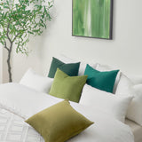 1 x RAW Customer Returns Topfinel cushion covers 60 x 60 cm green set of 4 velvet cushion covers sofa cushion decorative cushion couch cushion decoration for bed bedroom Christmas color gradient - RRP €27.22