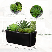 1 x RAW Customer Returns Briful artificial plant like real artificial succulent plant houseplant decorative living room, windowsill, bathroom decorative plant succulent in ceramic pot - RRP €22.18