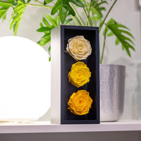 1 x RAW Customer Returns Preserved Roses for Mother s Day in a Wooden Box, 3 Yellow Birthday Flowers for Delivery from Prime, Eternal Flowers, Natural Eternal Roses That Last for Years, Eternal Rose, Gift for Mom - RRP €15.12