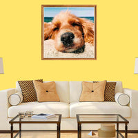 1 x Brand New Bimkole 5D Diamond Painting Accessories Beach Dogs Pictures, DIY Animals Diamond Painting Kit Animals Full Round Drill Painting by Numbers Painting Embroidery Cross Stitch Diamond Decoration 30 x 30 cm  - RRP €20.4