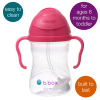 1 x RAW Customer Returns b.box, silicone, sippy cup with weighted straw and easy-grip handles, reusable water bottle for babies with easy flip lid - RRP €16.5