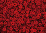 1 x RAW Customer Returns INRUI Women s Day Background Red Rose Flowers Photography Background Roses Wall Girls Women Portrait Birthday Decorations Background 2.1x1.5m  - RRP €14.11