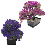 1 x RAW Customer Returns Fycooler Bonsai Artificial Plant Artificial Tree - Japanese Lifelike - Plastic Artificial Plant for Office Windowsill Yard Table Decoration Decoration-2Pcs - RRP €18.98