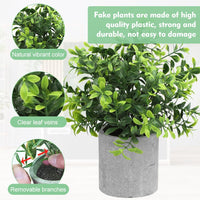 1 x RAW Customer Returns SCHYIDA 4 Pieces Fake Outdoor Plants Decorative Indoor Artificial Plants with Pot for Home Office Kitchen 4 Styles  - RRP €22.61