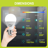 1 x RAW Customer Returns GY E27 LED cold white lamp 9.5W 6500K 1521 lumen cold white light source, A60 energy saving lamp replaces 100W halogen lamp, non-dimmable LED bulbs, 12 pieces energy efficiency class C  - RRP €37.99