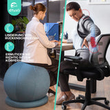 1 x RAW Customer Returns ENOVI ProfiBalance Sitting Ball Office Ergonomic with Chair Covers, Stability Ring Base, for Office and Home, Improve Balance, Core Strength and Posture, Relieve Back Pain, 75cm, FG - RRP €65.53