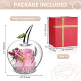 1 x RAW Customer Returns Handmade Preserved Flowers Rose Decor with Apple Shaped Glass Lovers, Christmas Eve, Valentine s Day, Mother s Day, Birthday, Wedding Anniversary, Pink - RRP €29.99