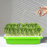 1 x RAW Customer Returns Germination trays for sprouts, germination tray, cress cultivation trays, highly breathable, plastic seed, hydroponic seeding, germination, greenhouse tray for indoor and outdoor gardens 5 pieces with lid ... - RRP €24.19