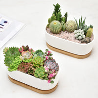 1 x RAW Customer Returns ARVINKEY White Ceramic Succulent Planters, Indoor and Outdoor Succulent Planters, Set of 2 Small Cactus Containers, Bonsai Pots, Flower Pots with Bamboo Tray No Plant  - RRP €21.17