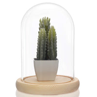 1 x RAW Customer Returns BELLE VOUS glass bell glass dome large with wooden base - 20cm decorative glass cover as table decoration, decorative glass dome transparent glass bell, glass dome cloche with base for lights, decoration- RRP €28.99