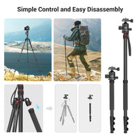 1 x RAW Customer Returns SMALLRIG 71 Camera Tripod, Foldable Aluminum Tripod Monopod, 360 Removable Ball Head and Quick Release Plate, with Smartphone Clamp, Payload 15kg 33lb, 71in 180cm - 3935 - RRP €80.9