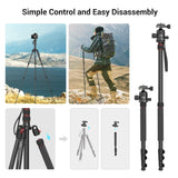 1 x RAW Customer Returns SMALLRIG 71 Camera Tripod, Foldable Aluminum Tripod Monopod, 360 Removable Ball Head and Quick Release Plate, with Smartphone Clamp, Payload 15kg 33lb, 71in 180cm - 3935 - RRP €79.99