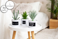 1 x RAW Customer Returns ODEZZA Artificial Plants in Pot 10x16cm White - Set of 3 Decorative Succulents Artificial Small Modern - Artificial Plants Set for Decorating Living Room Bathroom Kitchen Balcony - Mini Artificial Plants - RRP €25.16