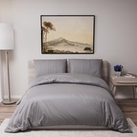 1 x RAW Customer Returns Duvet Cover Bed 200x200 cm with 2 Pillowcases 65x65 cm - Anthracite - Duvet Cover 200x200 Adult made of 100 Microfiber. Duvet Cover Certified without Chemical Products Oeko Tex  - RRP €19.99