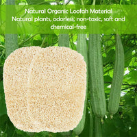 2 x Brand New Loofah sponge, cleaning sponge, loofah dishwashing sponge, kitchen sponge, loofah cleaning sponge, loofah sponges kitchen, loofah sponge scrubber, natural loofah dishwashing brush, for kitchen cookware, dishes, 6 pack - RRP €40.8