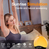 1 x RAW Customer Returns Bluetooth daylight alarm clock light alarm clock, wake up light, alarm clock with light, sunrise sunset simulation, Bluetooth speaker, 22 nature sounds, 20 brightness bedside lamp for children - RRP €35.28