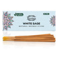 1 x RAW Customer Returns Raajsee Incense Sticks 100g Pack Incense Sticks, White Sage Incense Sticks Frankincense, Spiritual Gifts Holy Smokes Incense Sticks Chakra Smoke Sticks Set - RRP €17.52