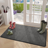 1 x RAW Customer Returns Color G Entrance Doormat Non Slip 90x150cm Door Mat Absorbent Washable Carpet for Indoor Outdoor Bedroom Kitchen Entrance Hallway - Black - RRP €44.98