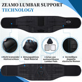 1 x RAW Customer Returns ZEAMO New Lumbar Support for Lumbar Spine Pain Relief Men and Women, Adjustable Back Brace with 3 Types of Replacement Lumbar Pads for Herniated Disc and Sciatica Large  - RRP €29.99