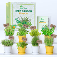 1 x RAW Customer Returns BonPrime Aromatic Herbs Growing Kit - Mini Garden and Urban Garden for Home with 8 Seeds, Ecological Pots and Markers - Aromatic Plant Set - Mini Garden for Beginners - RRP €29.28