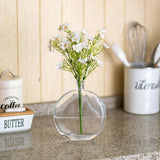 2 x Brand New Glasseam Round Flower Vase, Modern Glass Flower Vases, Cute Bud Vases for Decoration, 18.7cm Transparent Minimalist Flat Vase, Decorative Tulip Vase, Single Stem Vase - RRP €23.24