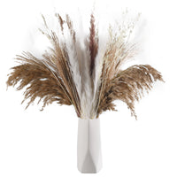 2 x RAW Customer Returns Tranquil Beauty Pampas Grass for Vases - Dried Pampas Grass Decoration with Boho Chic Touch for Living Room and Bedroom - Handpicked Naturally Dried - No Care Required - RRP €30.24