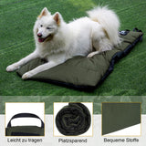 1 x RAW Customer Returns OneTigris Dog Blanket 110 x 68cm Washable, Dog Mat Comfortable and Soft Waterproof Dog Bed, Dog Cushion for Travel Camping Outdoor - Olive Drab - RRP €38.99