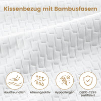 2 x RAW Customer Returns BedStory pillow 40x80 set of 2 with removable bamboo fiber cover, anti-mite and antibacterial pillow made of 950g x 2 microfibers, hypoallergenic comfortable soft and breathable pillow - RRP €90.84