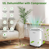 1 x RAW Customer Returns KPUY Home Dehumidifier Mould 12L 24H - Suitable up to 22 55m - Low Energy Consumption - Silent Operation - Digital Humidity Display - 24H Timer - Continuous Drain - RRP €149.99