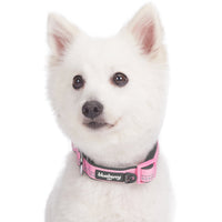 4 x Brand New Blueberry Pet Soft Comfy 3M Reflective Valentine Pastel Baby Orange Adjustable Padded Dog Collar, Small - RRP €67.2