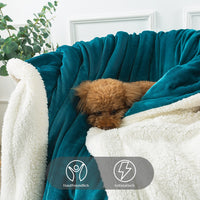 1 x RAW Customer Returns RATEL Sherpa blanket, high-quality cuddly blanket, blue, green, 150 x 200 cm, fleece blanket, reversible blanket made of high-quality microfibre for sofa blanket, bed, fluffy, warm, thick, easy to care for - RRP €31.19