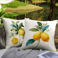 1 x RAW Customer Returns HUASHUZI outdoor weatherproof cushion cover fruit lemon set of 4 45 x 45 cm decorative cushion garden furniture balcony cushion covers cushion cover - RRP €19.1