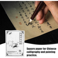 1 x RAW Customer Returns ULTNICE Chinese Calligraphy Chinese Rice Paper Ink Painting Sumi Drawing Paper - RRP €16.72