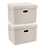 1 x RAW Customer Returns TYEERS Storage Box with Lid Large Fabric Foldable Washable Box Storage with Lid 44 x 30 x 29 cm Pack of 2 Beige - RRP €30.24