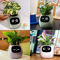 1 x RAW Customer Returns Masdio Smart Flower Pots with Artificial Intelligence, Time Temperature Display, and Numerous Expressive Environment-Based Animations for Home Decoration White  - RRP €89.99