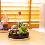 1 x RAW Customer Returns Yangbaga flower pots with saucer, 2 pieces ceramic in black for succulents, decorative vase succulent pots cactus plant pots with bamboo saucer 15.3cm  - RRP €19.15