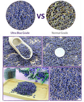 1 x RAW Customer Returns TooGet Fragrant Lavender Flower Natural Dried Lavender Flowers,100 Pure Best Lavender Smell, High Quality - 910g - RRP €33.99