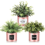 2 x RAW Customer Returns Kesote Artificial Succulents with Pot 3 PCS Rose Gold Artificial Plants in Pot Plants Cactus Small Decoration for Office Home Random Sticker  - RRP €48.38